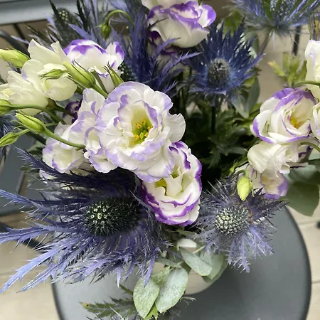 Ξενοδοχείο Longchamp Elysees 3*