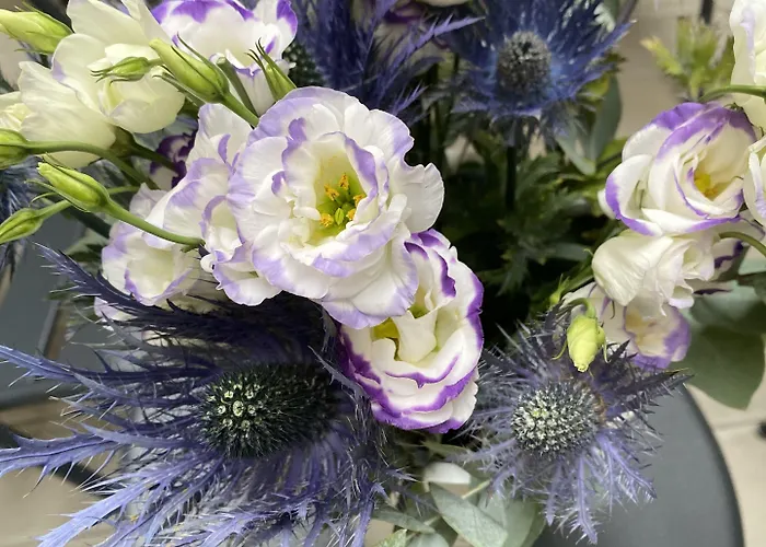 ホテル ロンシャン エリゼ 3*